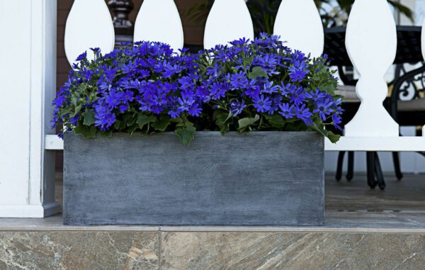 Modern Window Box Black Planters with Blue Color Flowers