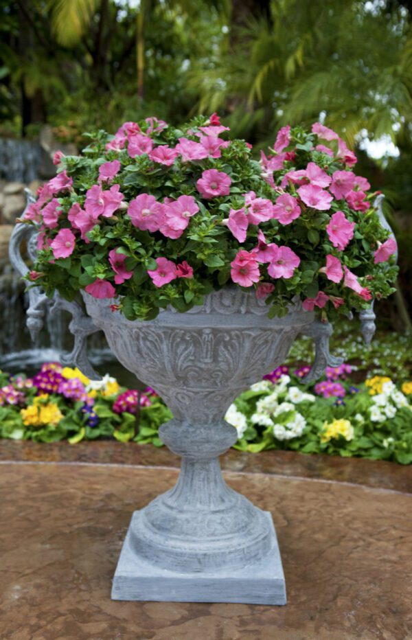 Compote Urn With Handles