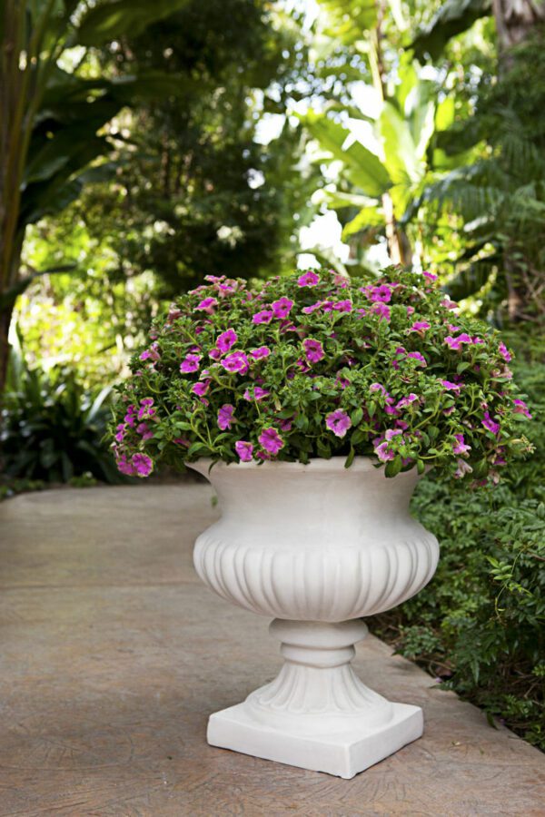 Bell Urn Limestone Color With Pink Color Flowers
