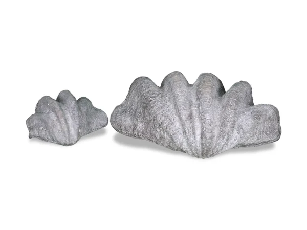 Clam Shell Planter Small Natural Stone Appearance